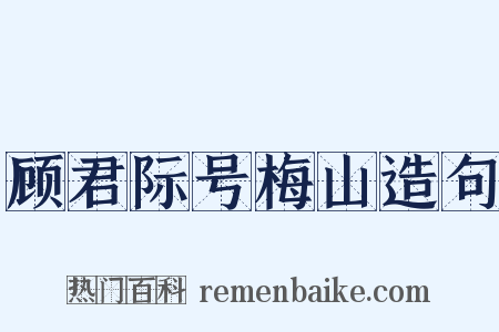 顾君际号梅山造句是什么意思的图片
